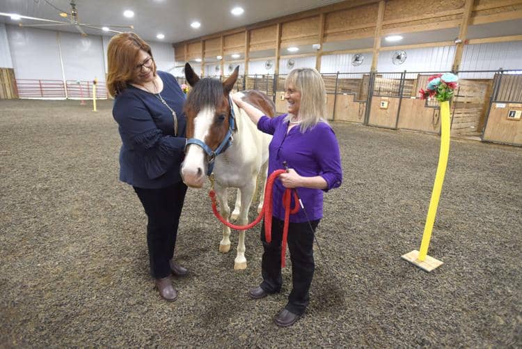 Mane Effect: RVBH and Dream Riders to provide equine-assisted therapy